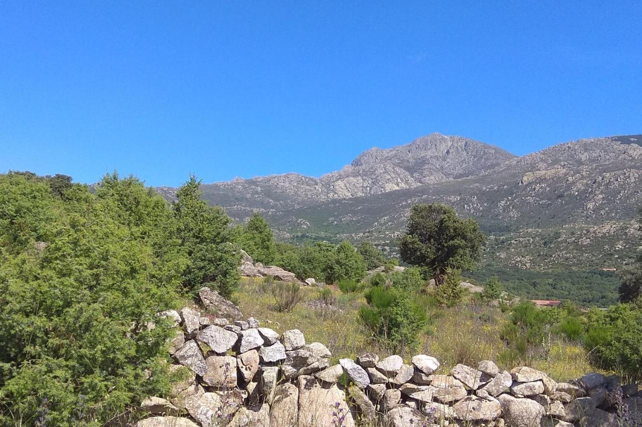 Acogedora Casa Rural En La Sierra De Madrid Мателпіно Екстер'єр фото
