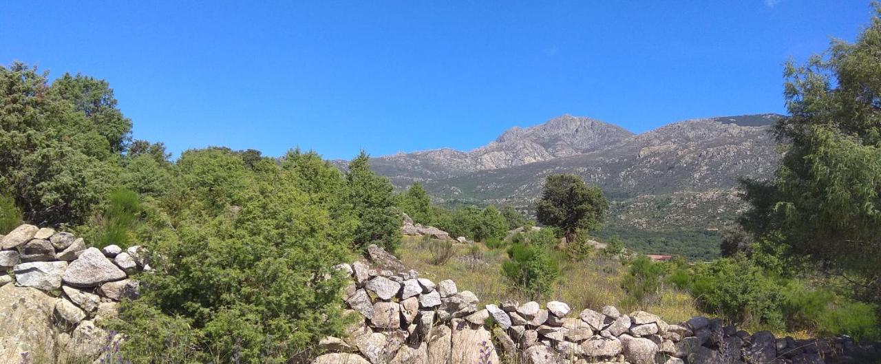 Acogedora Casa Rural En La Sierra De Madrid Мателпіно Екстер'єр фото